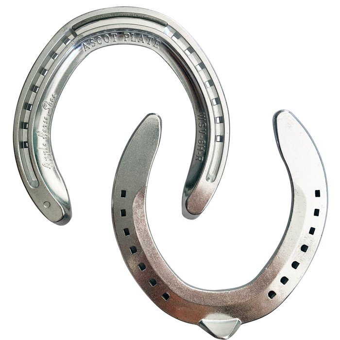 Apple Ascot Racing Plate Hind