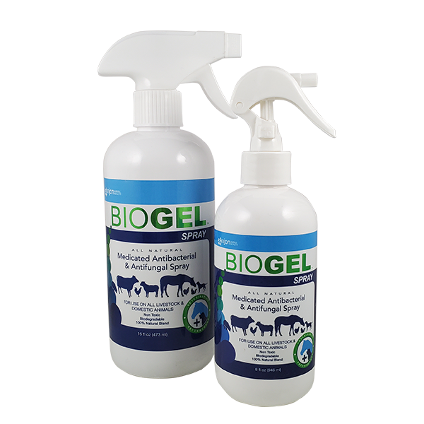 BioGel